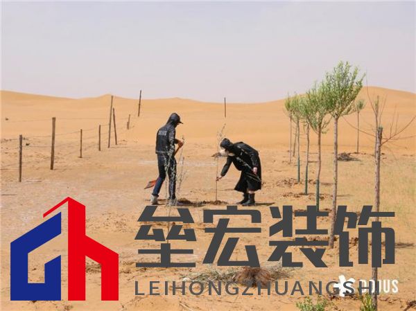 DOJUS 度假式家私：重构家居消费场景，定义“日常，就度假”的美学革命
